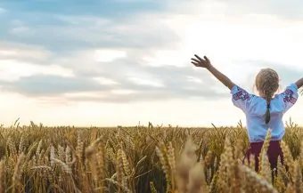 Child in a wheat field. In vyshyvanka, the concept of the Independence Day of Ukraine. Selective focus. Kid.